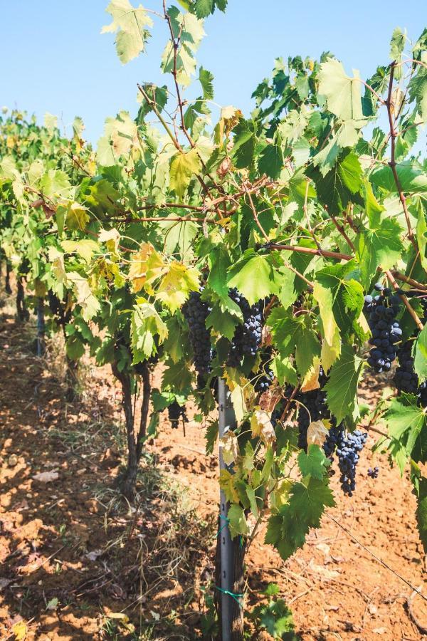 Case Vacanza Podere Risoino Poggibonsi Exterior foto